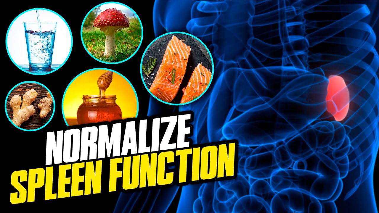 Normalize Spleen Function By Eating These Foods YouTube