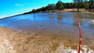 LAND Fishing for MURRAY COD with Crankbaits | Happy Valley Reservoir, South Australia