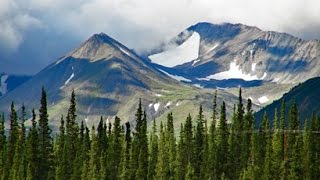 20150706-07: Days 29 & 30, Denali Park Road, Tonglen Lake, Denali Boardwalk