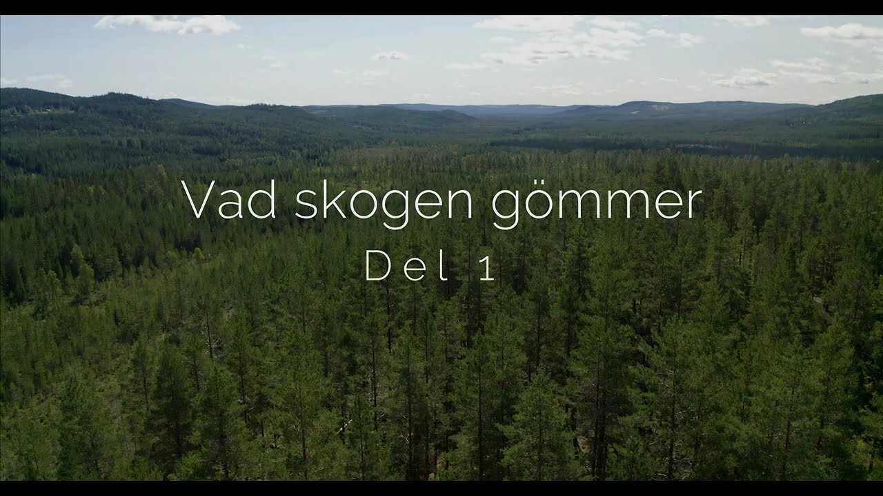 Vad skogen gömmer del 1 Norra Värmland