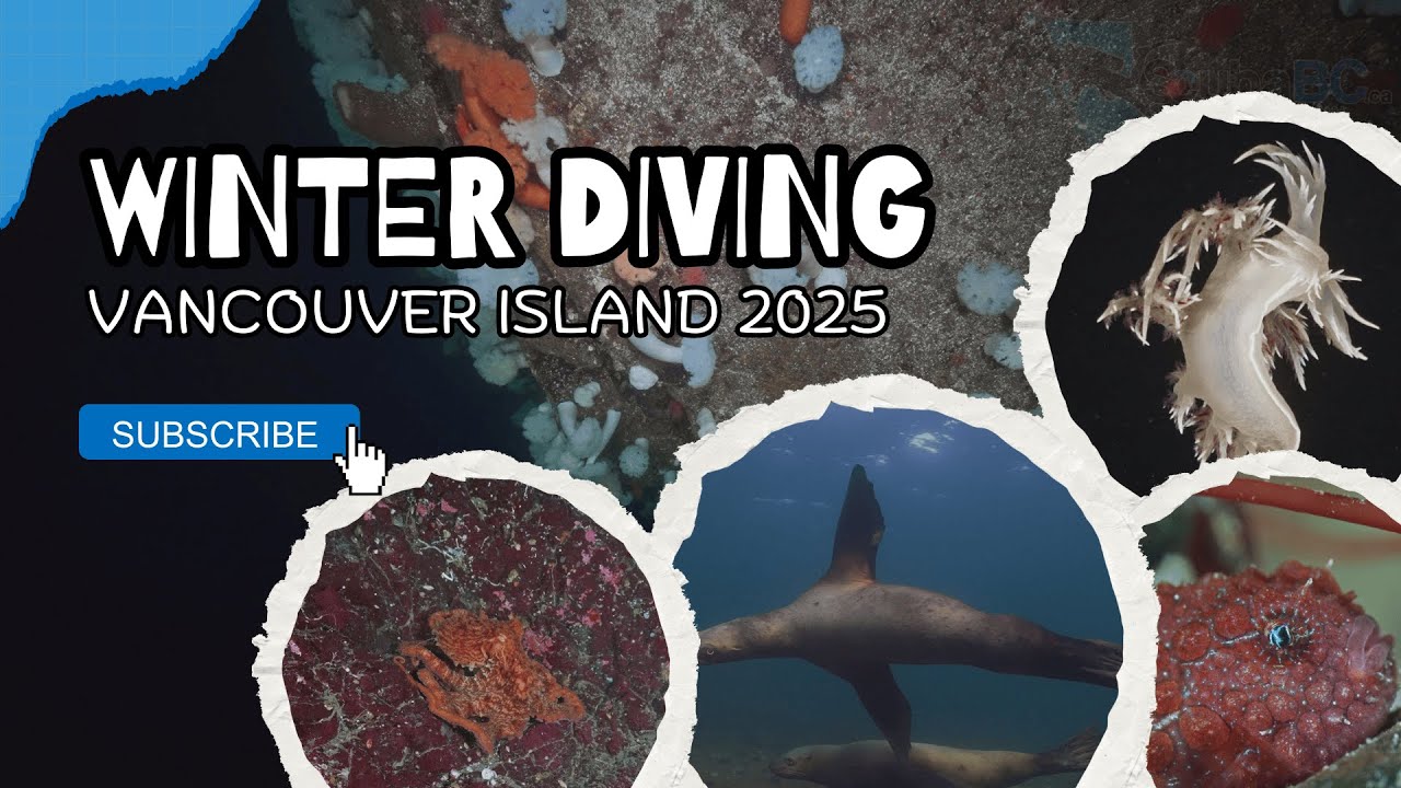 youtube-video-thumbnail