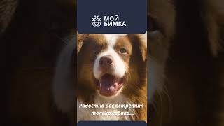 Народная мудрость