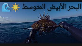 صيد تحت الماء في شاطئ (سيدي قنقوش) | (طنجة ،المغرب)