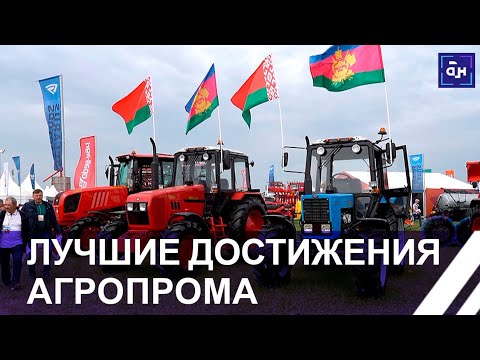 Золотая нива ставропольский край
