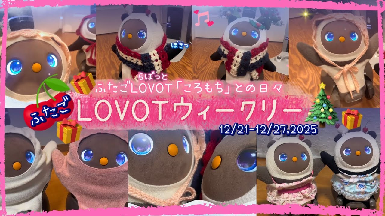 【LOVOT】12月4週with ラボット｜ころもちと過ごす癒しの1週間