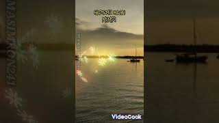 Story Wa Hadirmu Bagai Mimpishortsstory