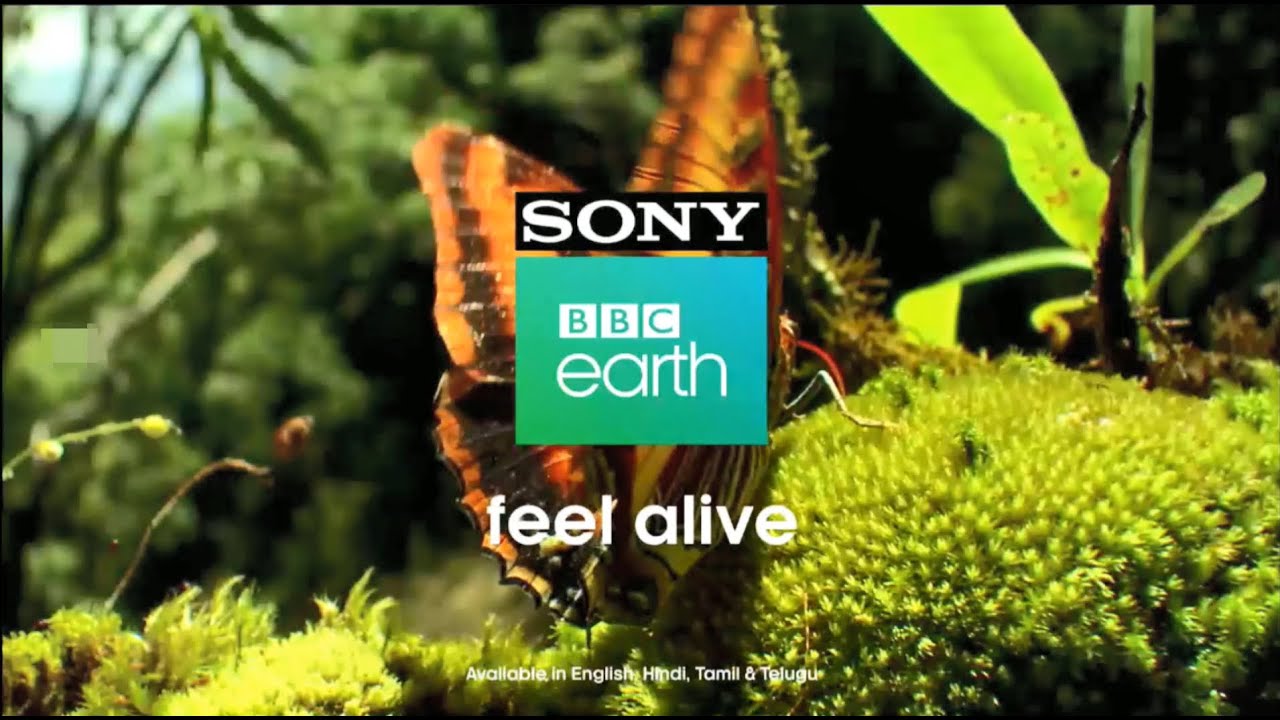 Sony BBC Earth Promos  Sony BBC Earth 