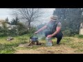 STEWED OXTAILS ON THE FIRE! A UNIQUE DISH FOR REAL MEN