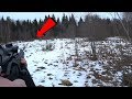 Охота на лося, лоси вышли на мой номер! Moose hunting!