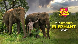 Dalma Wildlife Sanctuary I Rescued Elephants Story I Save Wildlife I Wildlife Conservation I TVC screenshot 5