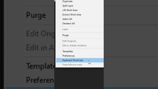 How to fix audio in After Effects when Previewing video