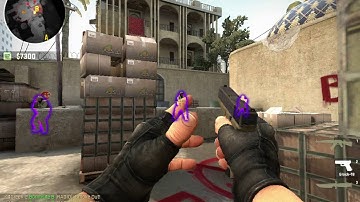 CS:GO   Player | Weapon | C4 | Nade | Chicken    - Glow