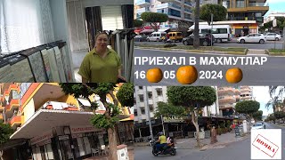 ПРИЕХАЛ В МАХМУТЛАР 16 МАЯ 2024 НЕОЖИДАННАЯ ПРИЯТНАЯ ВСТРЕЧА ШТОРЫ ГАРДИНЫ ТУРЦИЯ АЛАНЬЯ ROMKA ROKER