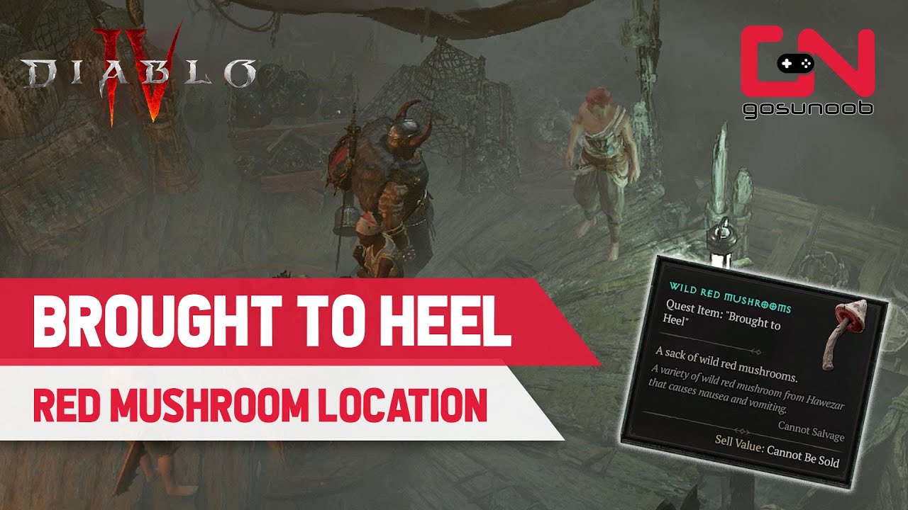 How to Collect a Red Mushroom for Lumir in Diablo 4 Brought to Heel Quest YouTube How to Collect a Red Mushroom for Lumir in Diablo 4 Brought to Heel Quest YouTube