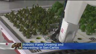 Future Agricultural Workers Could Be Robots