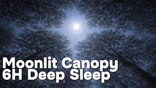 Moonlit Canopy VIII – 6 Hours Deep Forest Sleep
