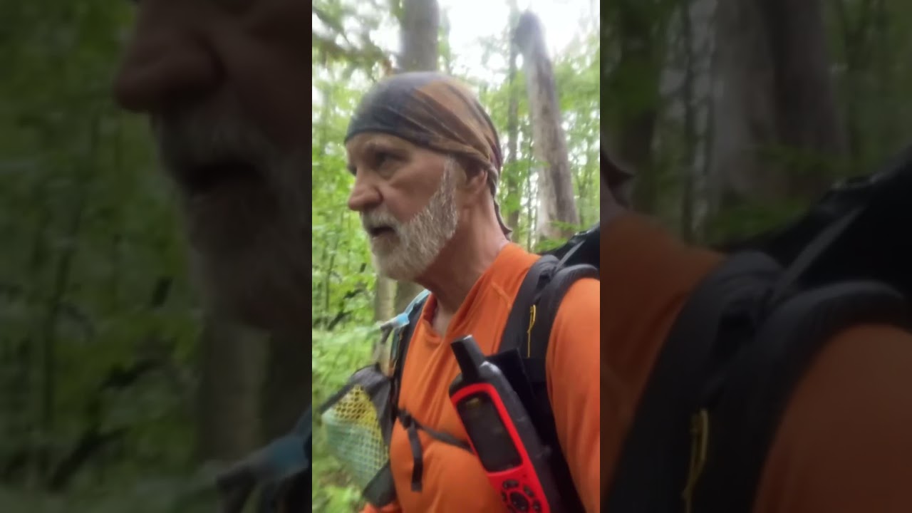 Laurel Highlands Hiking Trail SOBO Day 5 ( the last 18)