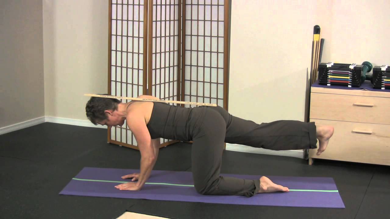 Horse Stance Exercise Horizontal for Active YouTube