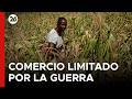 🚨 CRISIS HORTÍCOLA | Exportadores de Zimbabue enfrentan costos de transporte en alza