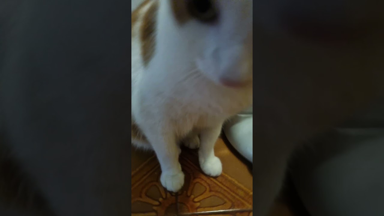 15 de febrero de 2026