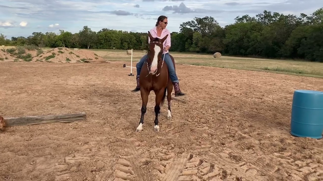 Possum Fall Frolic Challenge - YouTube