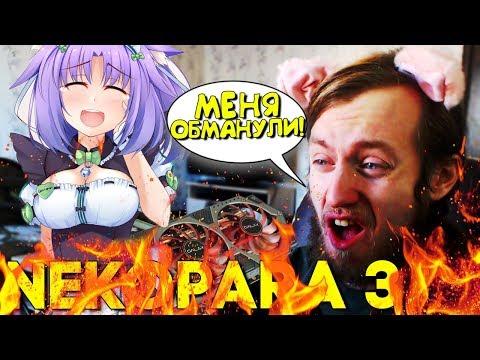 СГОРЕЛА ВИДЕОКАРТА ИЗ-ЗА ЭТОЙ ИГРЫ ► Nekopara Vol 3 Прохождение на русском ► Часть 1