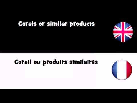 hqdefault.jpg