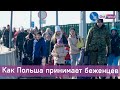 Польско-украинская граница сейчас: прямое включение