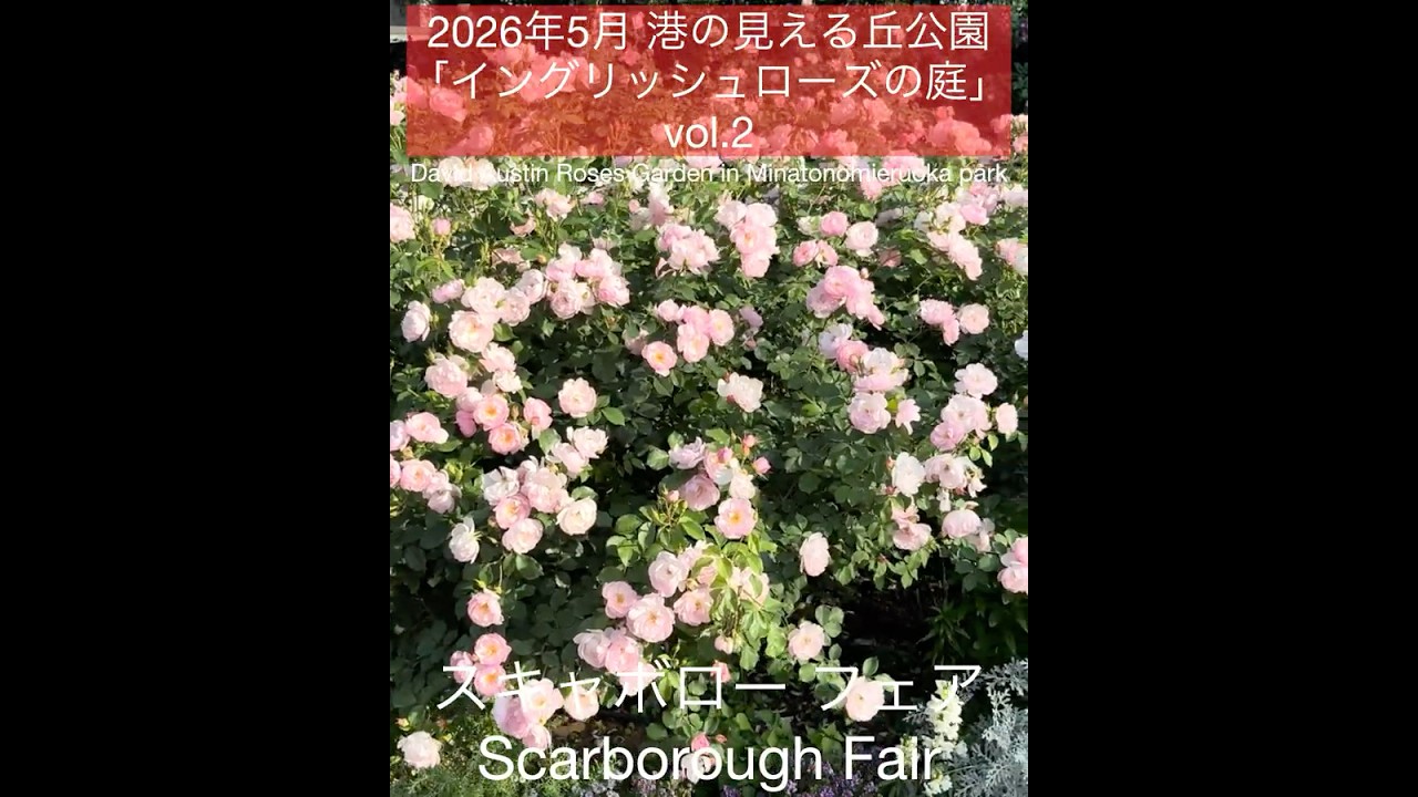 May 2026, Harbor View Hill Park 
