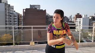 Agapornis Flasheaste amor... Zumba con chiqui..