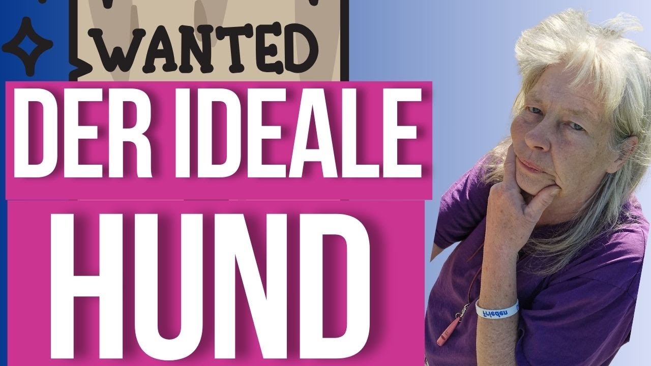 Welcher Hund passt zu mir - Das solltest du bedenken