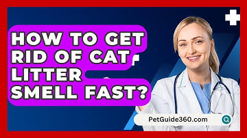 How To Get Rid Of Cat Litter Smell Fast? - PetGuide360.com
