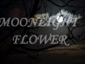 Capture de la vidéo "Moonlight Flower" By Michael Cretu W/ Lyrics