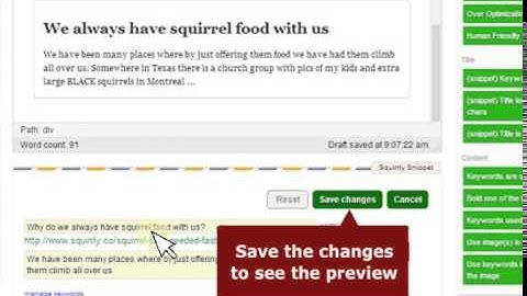Squirrly Content Marketing - Edit Snippet - Part 2/6