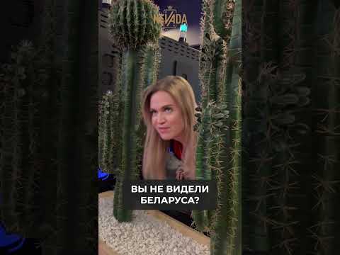 Топ-10 Онлайн Казино для Игры в Самые Популярные Слоты в Казахстане