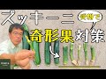 【家庭菜園】ズッキーニの奇形果を防ぐ！【ズッキーニ栽培】