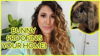 BUNNY PROOFING THE WHOLE ENTIRE HOUSE | Baby Bunny