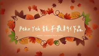 Peko Yeh 龍年最新作品 (全手縫） QQ龍鑰匙圈吊飾