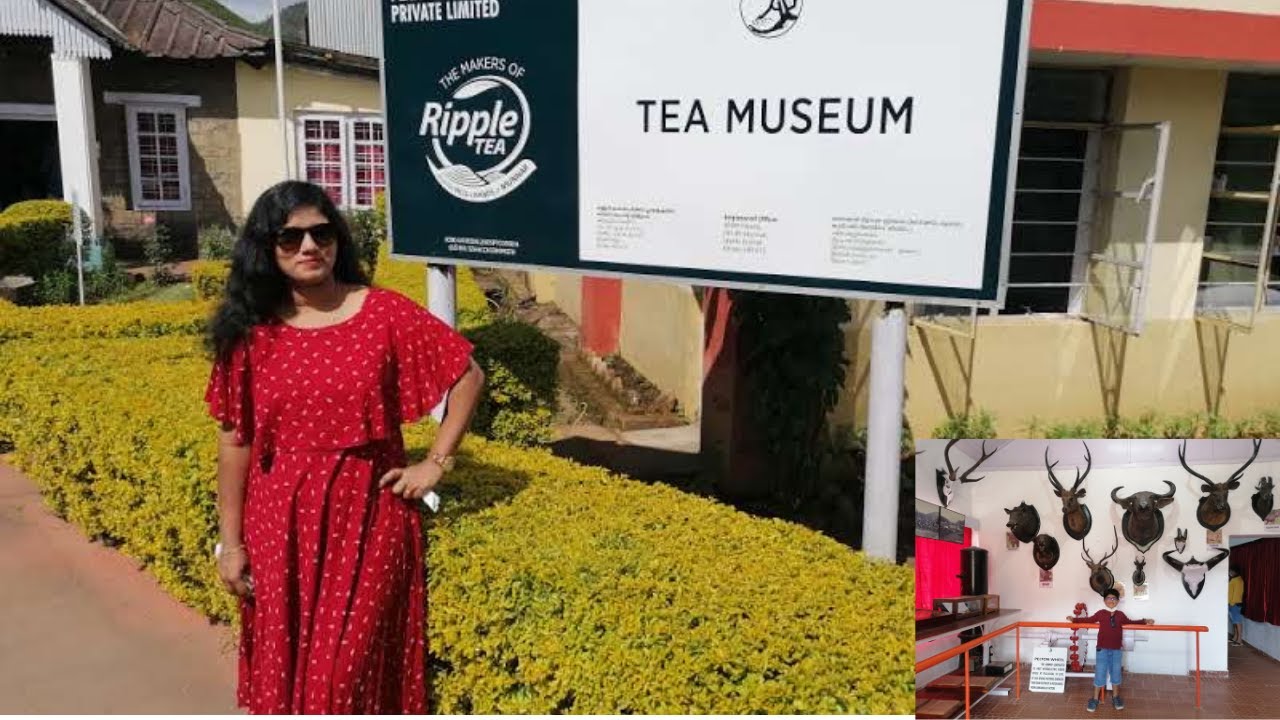 Tea Museum Munnar | Tea Museum | Tea Factory | Munnar | Tea Estate | Munnar attractions
