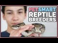 Calling 84 PetSmarts - Where do they actually get reptiles?