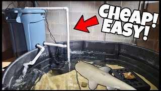 DIY Pond Filter Made EASY For Indoor Catfish Pond!