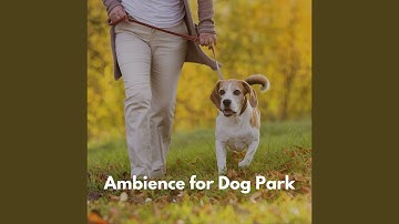 Dashing Ambiance for Roaring Rewinds