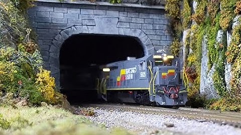 Seaboard System trailer train