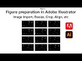 Figure preparation in adobe illustrator part1   image import  resize  crop  alignment  