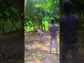 #sandeshe_aate_Hai #viralvideo