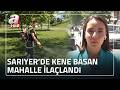 Havalar ısındı Sarıyer'de keneler çoğaldı! Kene basan mahalle ilaçlandı | A Haber