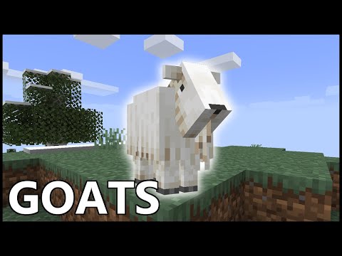 Video: How To Get A Goat