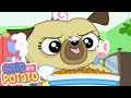 Chip Is The Best Cake Baker | Chip and Potato | Cartoons For Kids | Wildbrain Toons