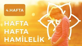 Gebelikte 4.Hafta Hafta Hafta Hamilelik - Şebboy - Op.dr. Cevahir Tekcan