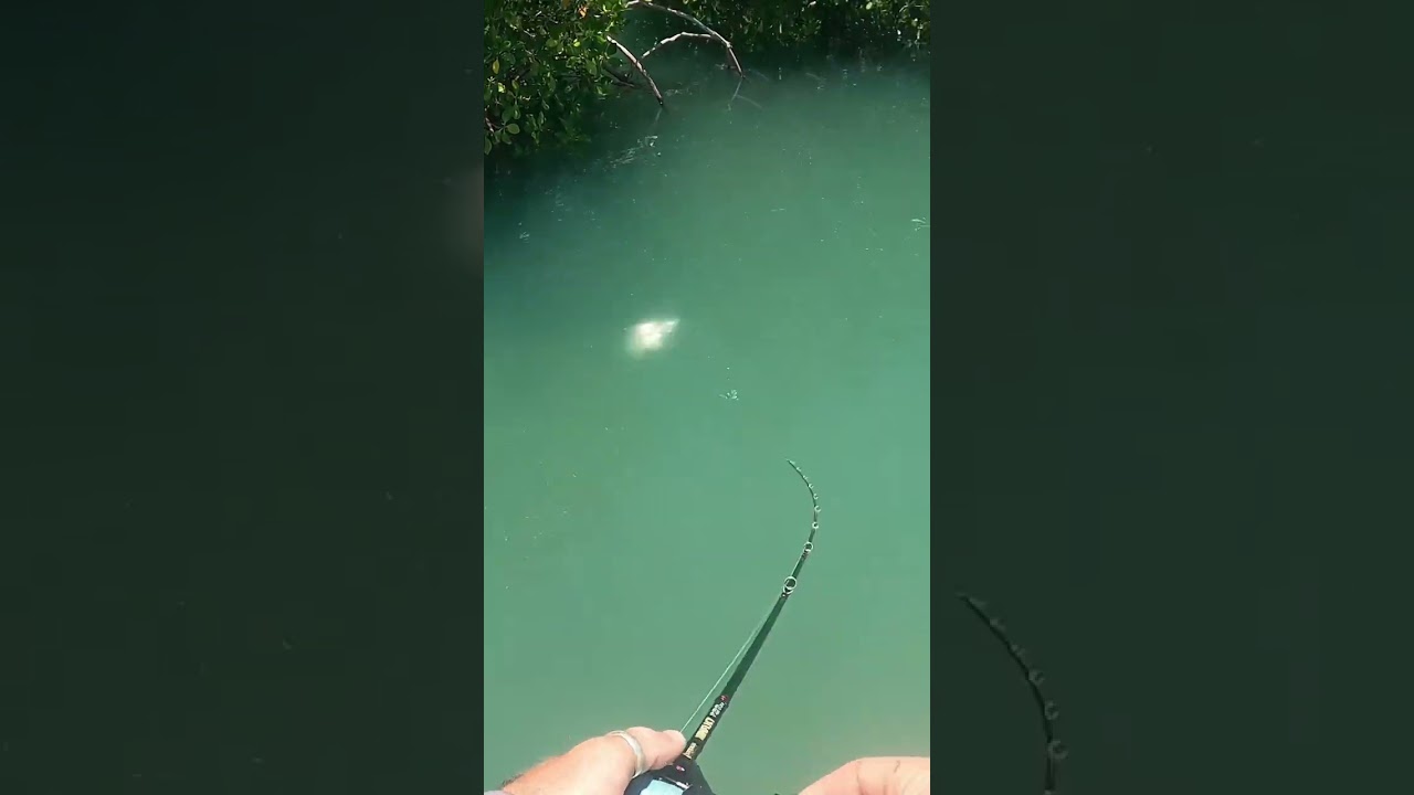 Заброс Барры! 